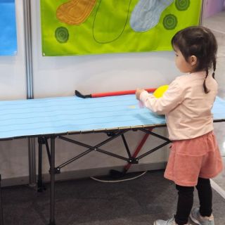 Taispo exhibition (24)